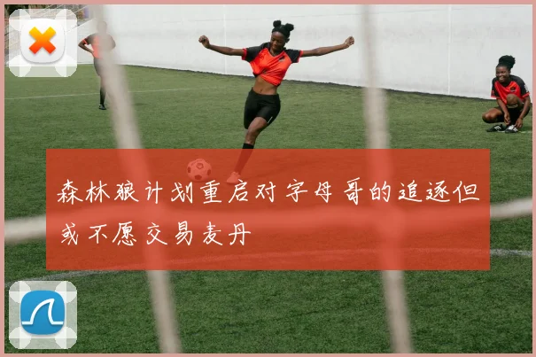 森林狼计划重启对字母哥的追逐但或不愿交易麦丹